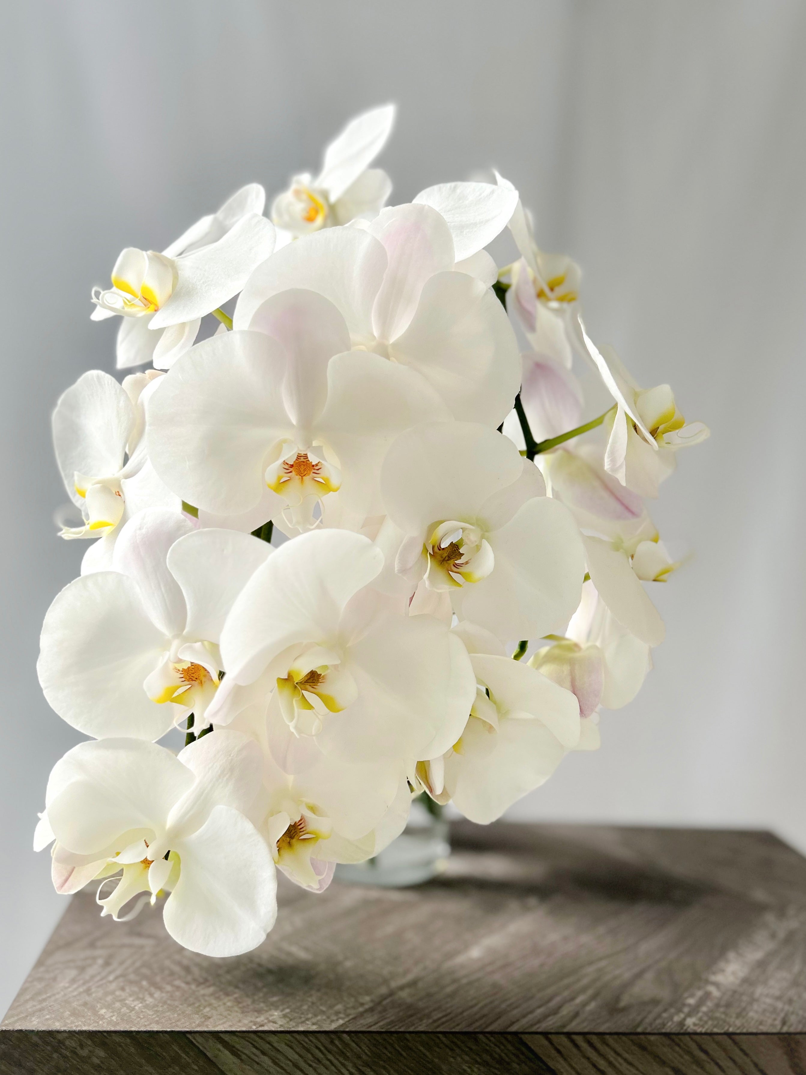 Custom Order for a Bridal Bouquet and Boutonnieres - December 2022