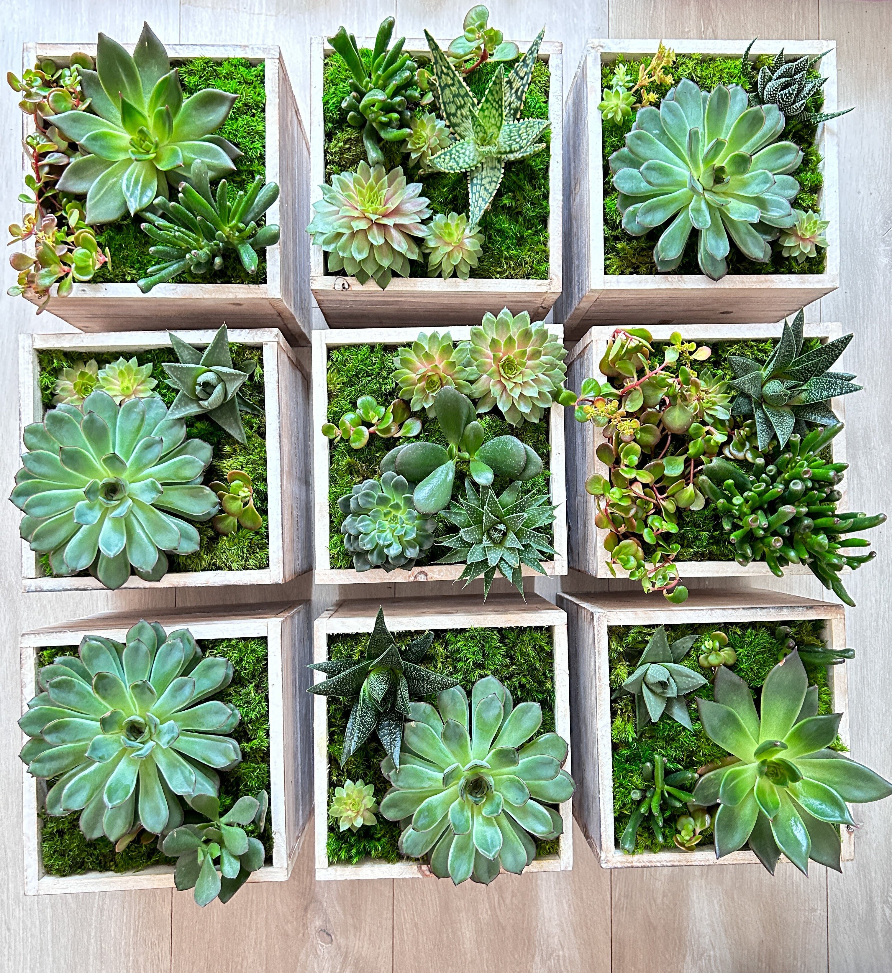 Exclusive Watch Event – July 2023