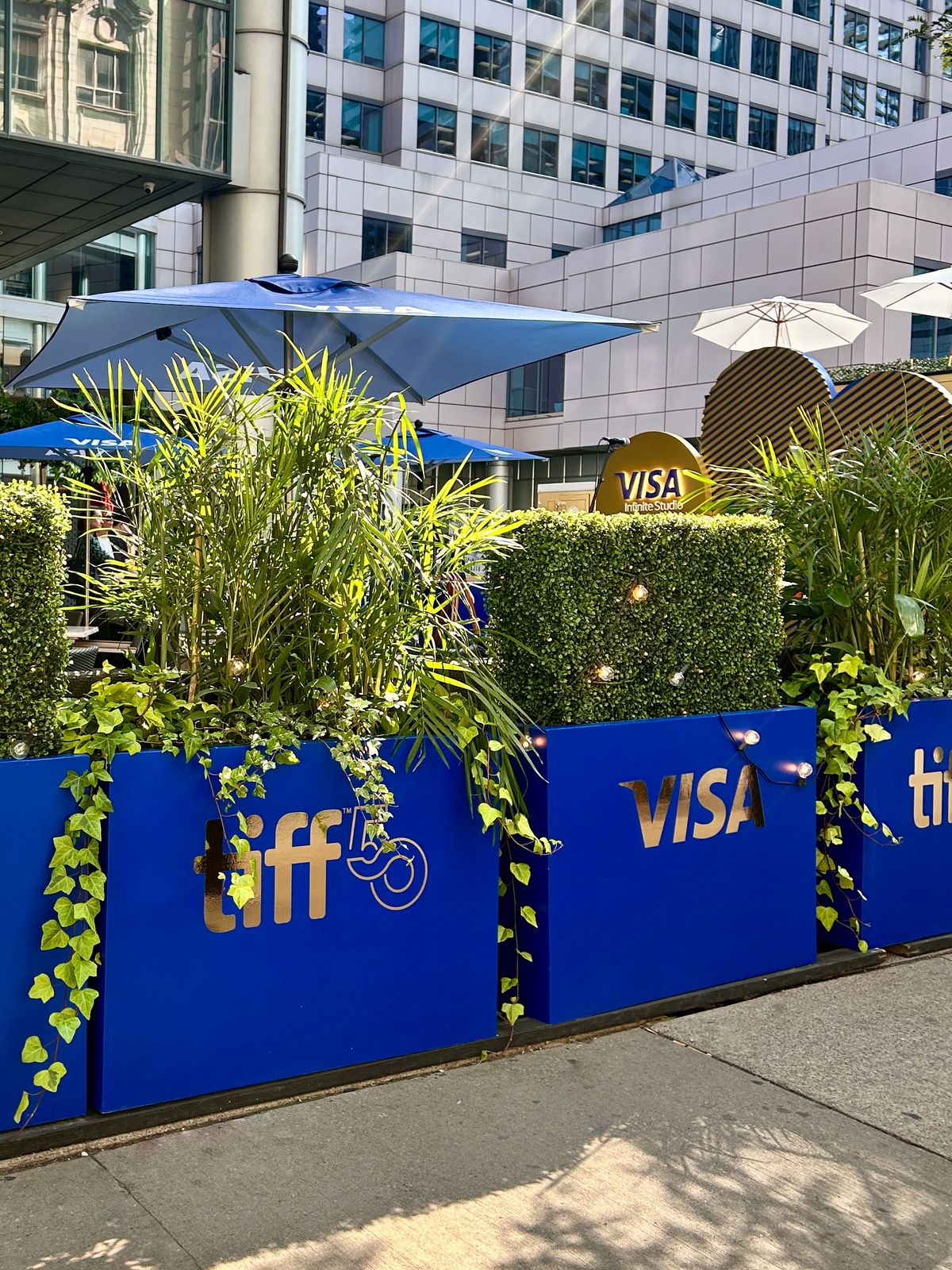 Visa TIFF Event Planters at Minami Restaurant - September 2025