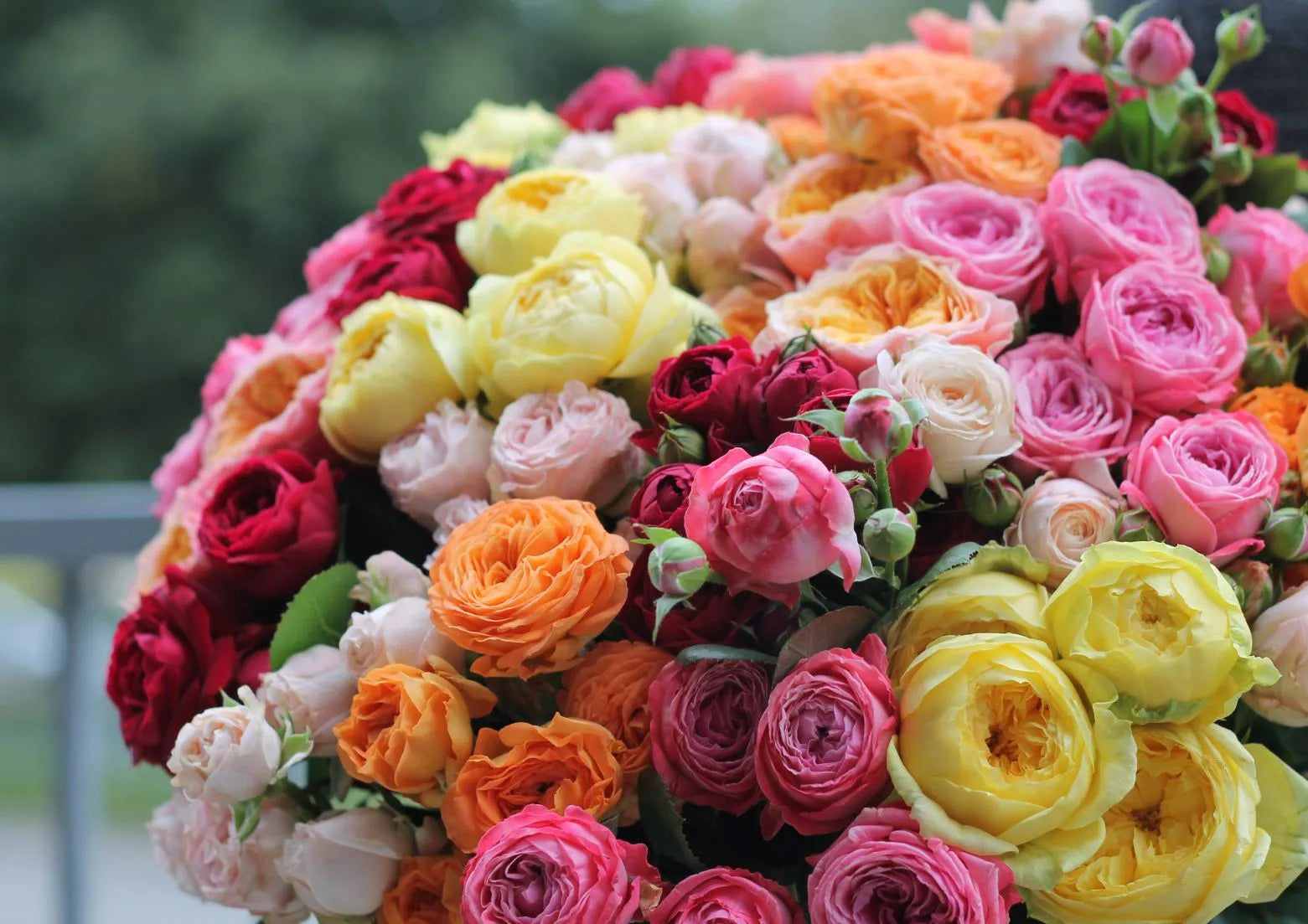 What If You Gift a Crazy Huge Bouquet of Flowers?