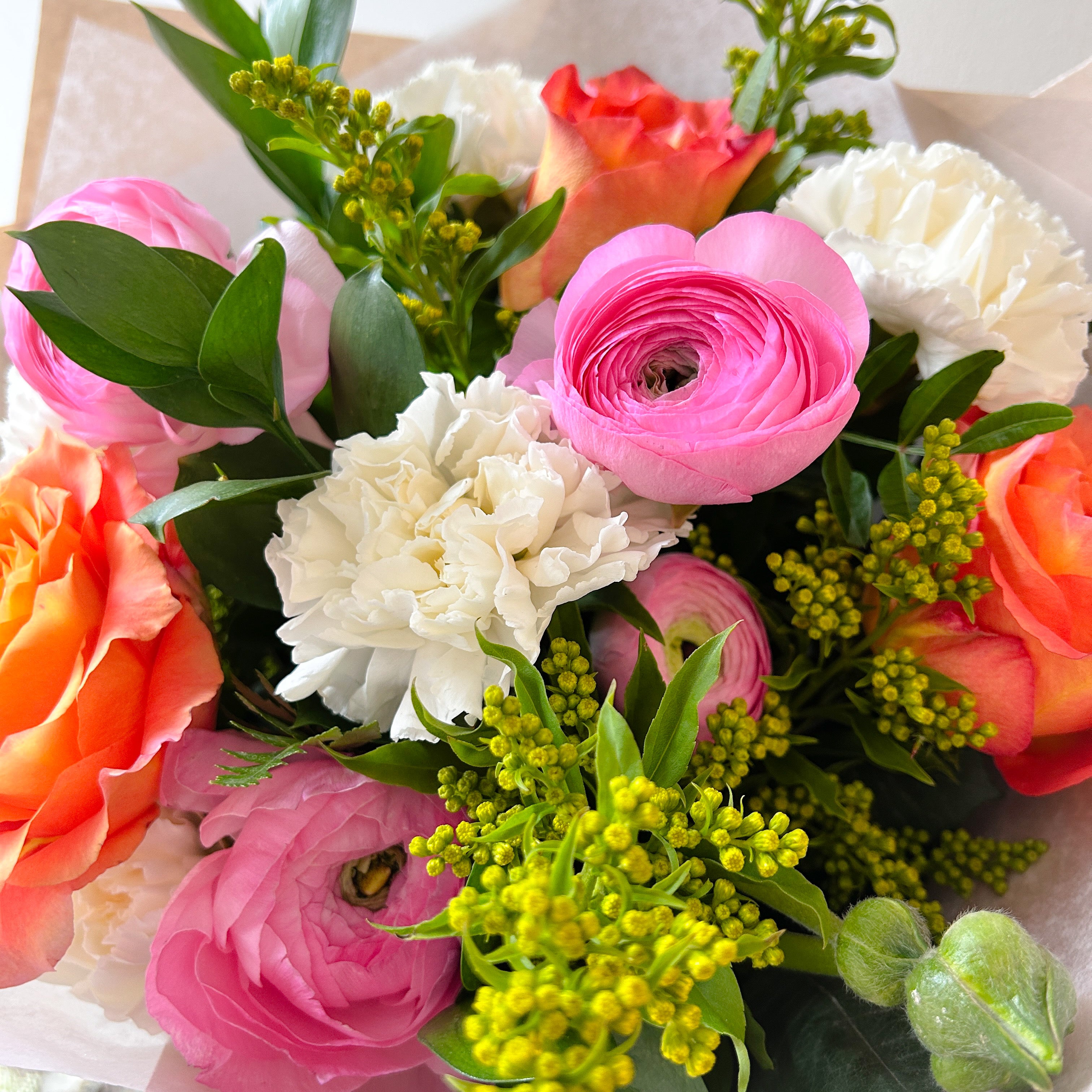 Ranunculus Dream