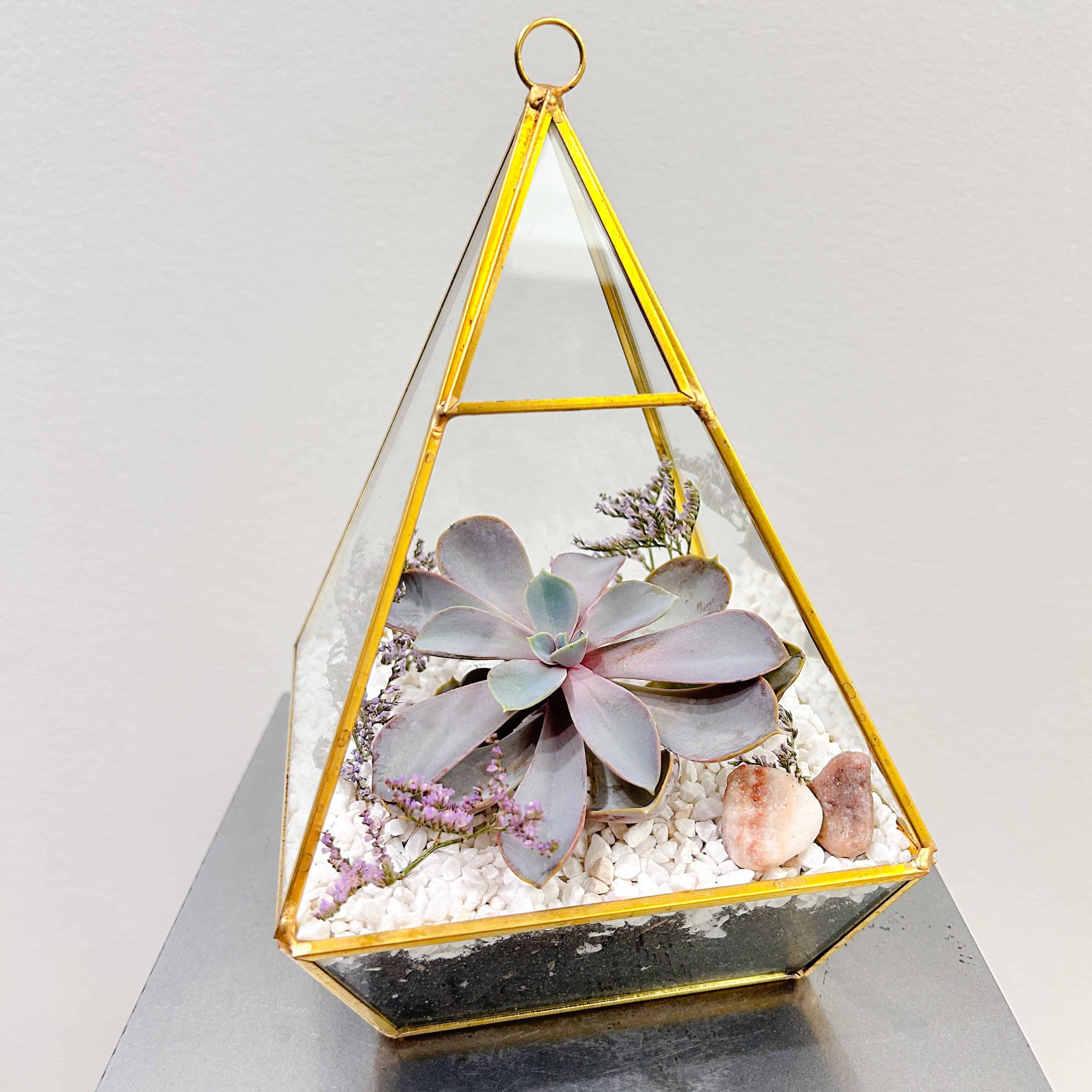 Succulent Pyramid