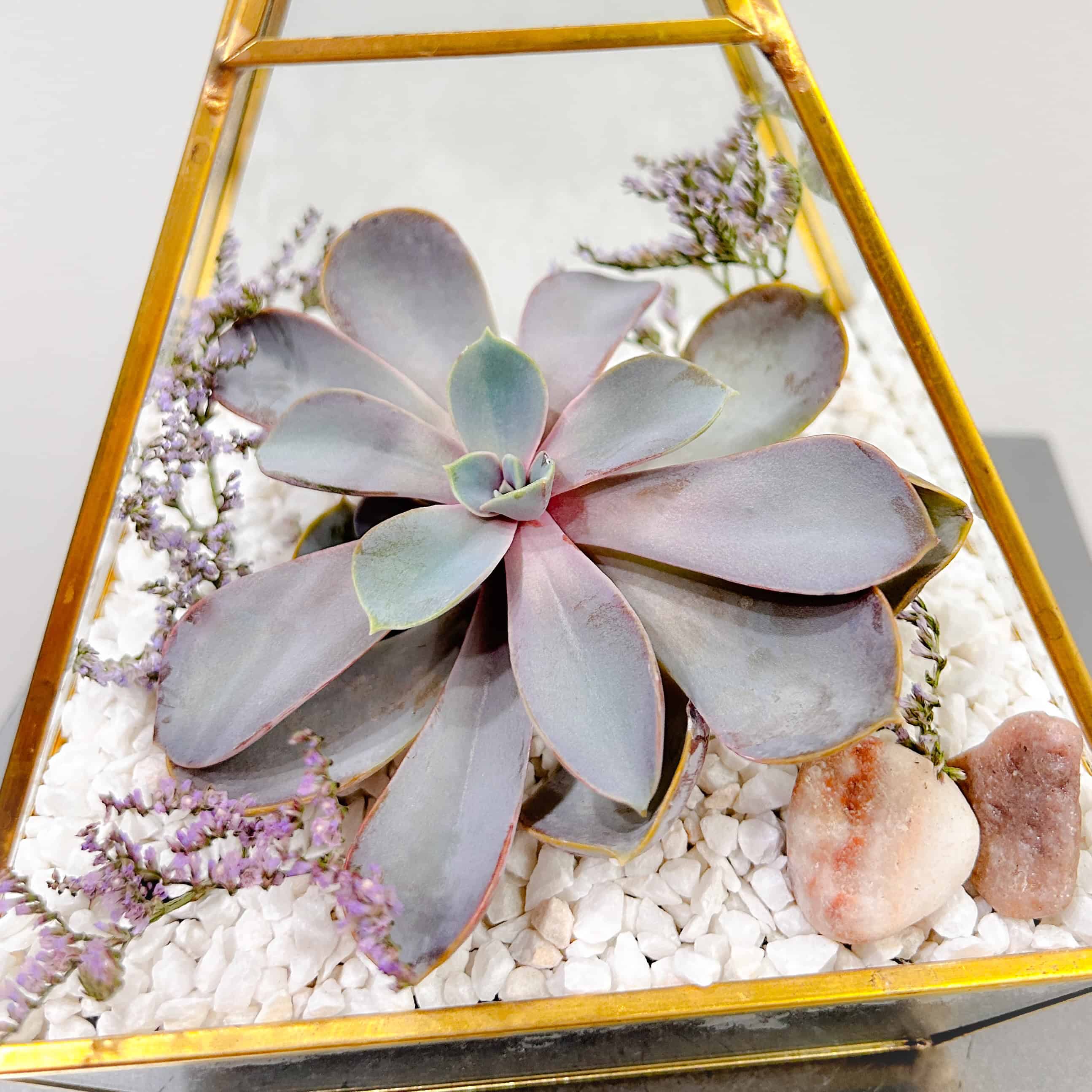 Succulent Pyramid