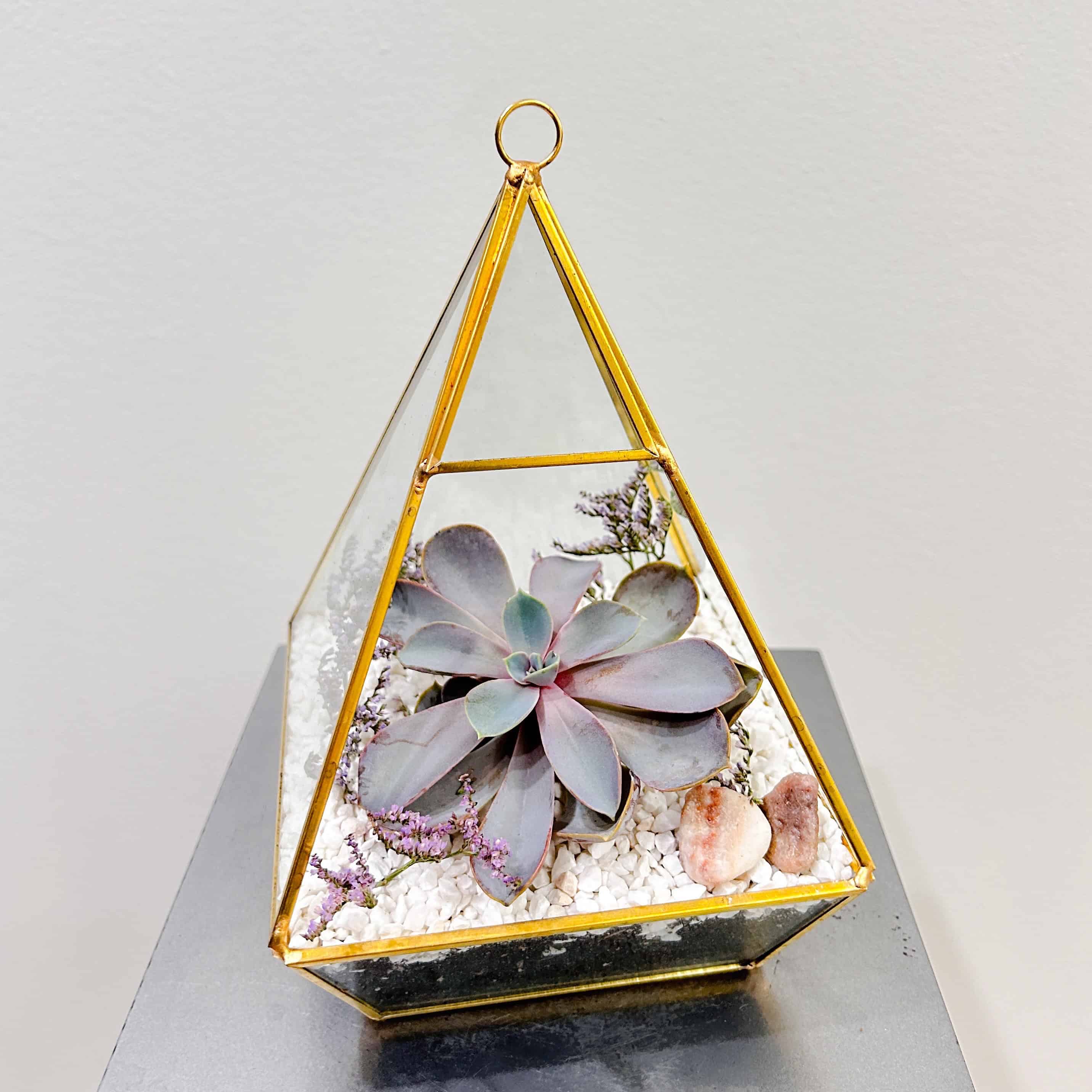 Succulent Pyramid