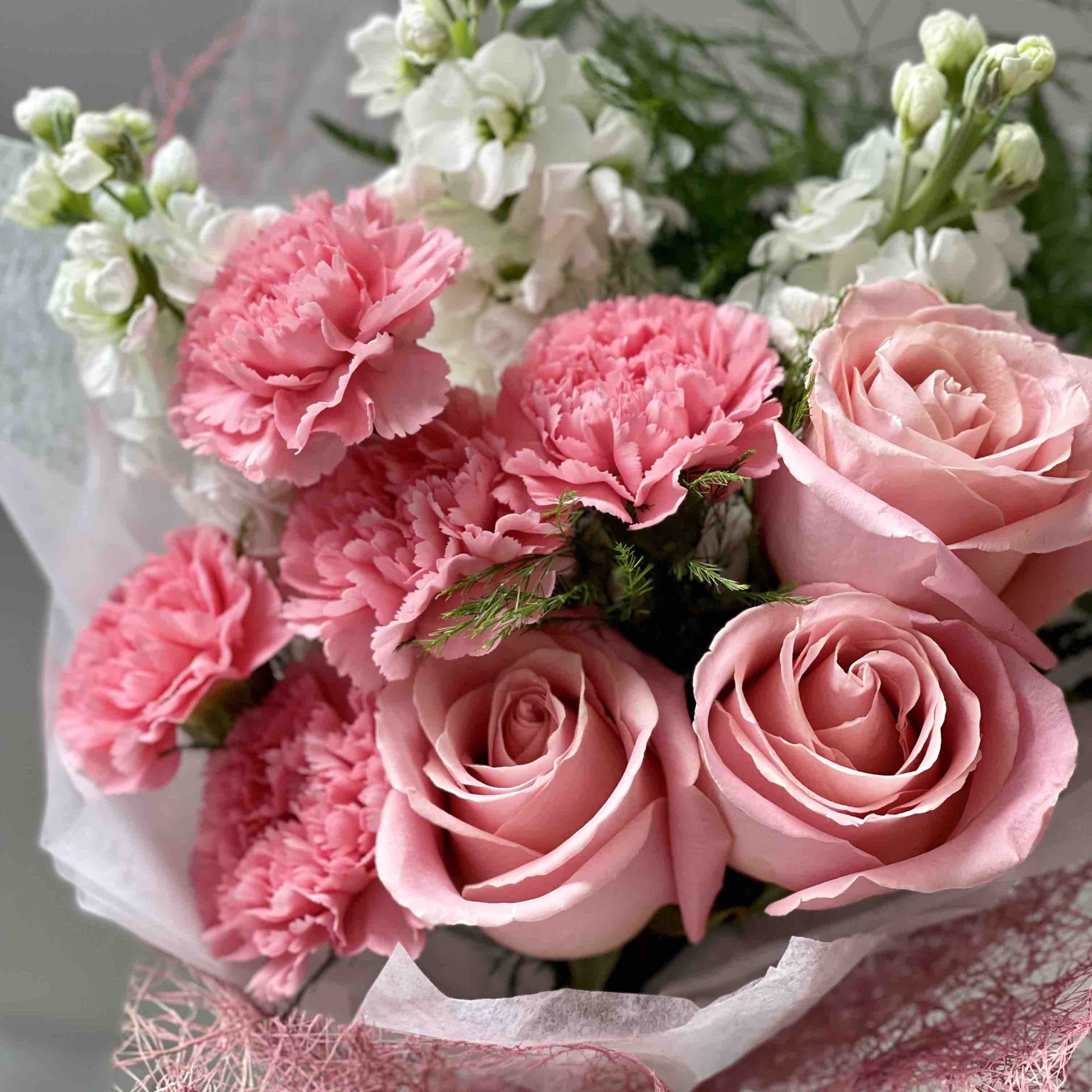 Hot pink carnations