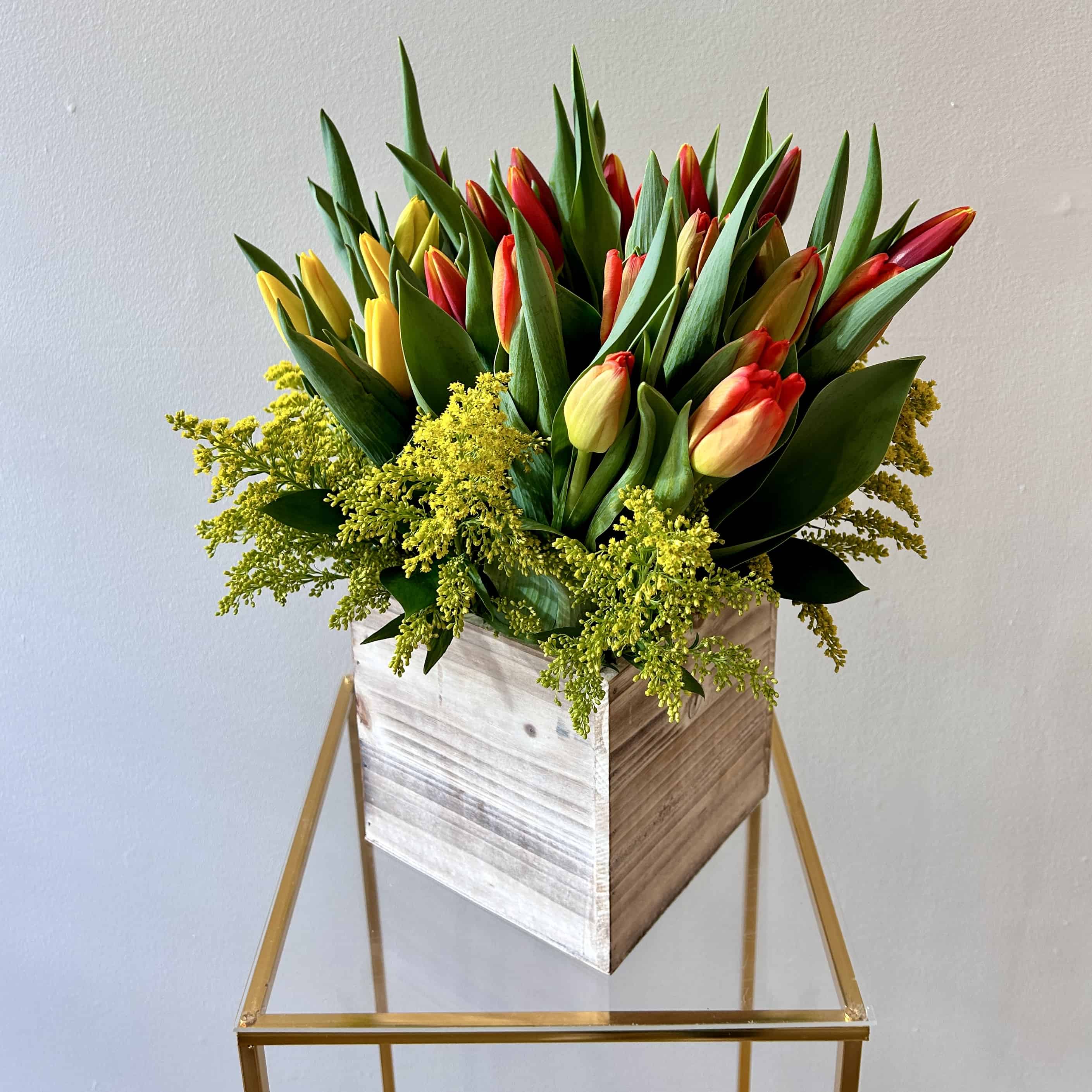 Golden Morning Tulip Mix - Red Tulips and Yellow Tulips