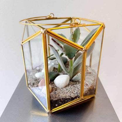 Golden Glow Succulent Lantern