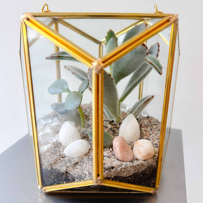 Golden Glow Succulent Lantern