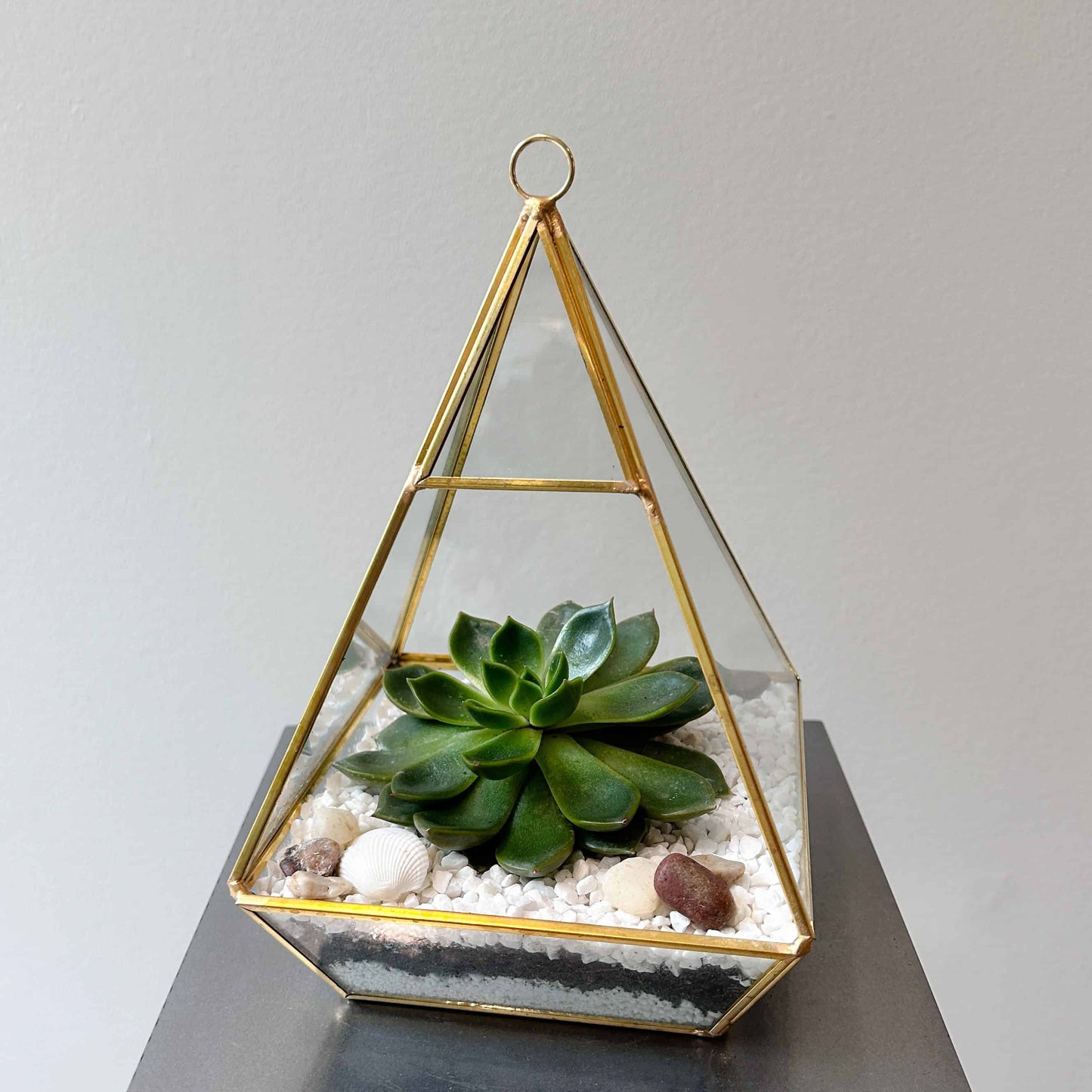 Succulent Pyramid