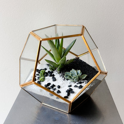 Yin Yang Succulent Haven