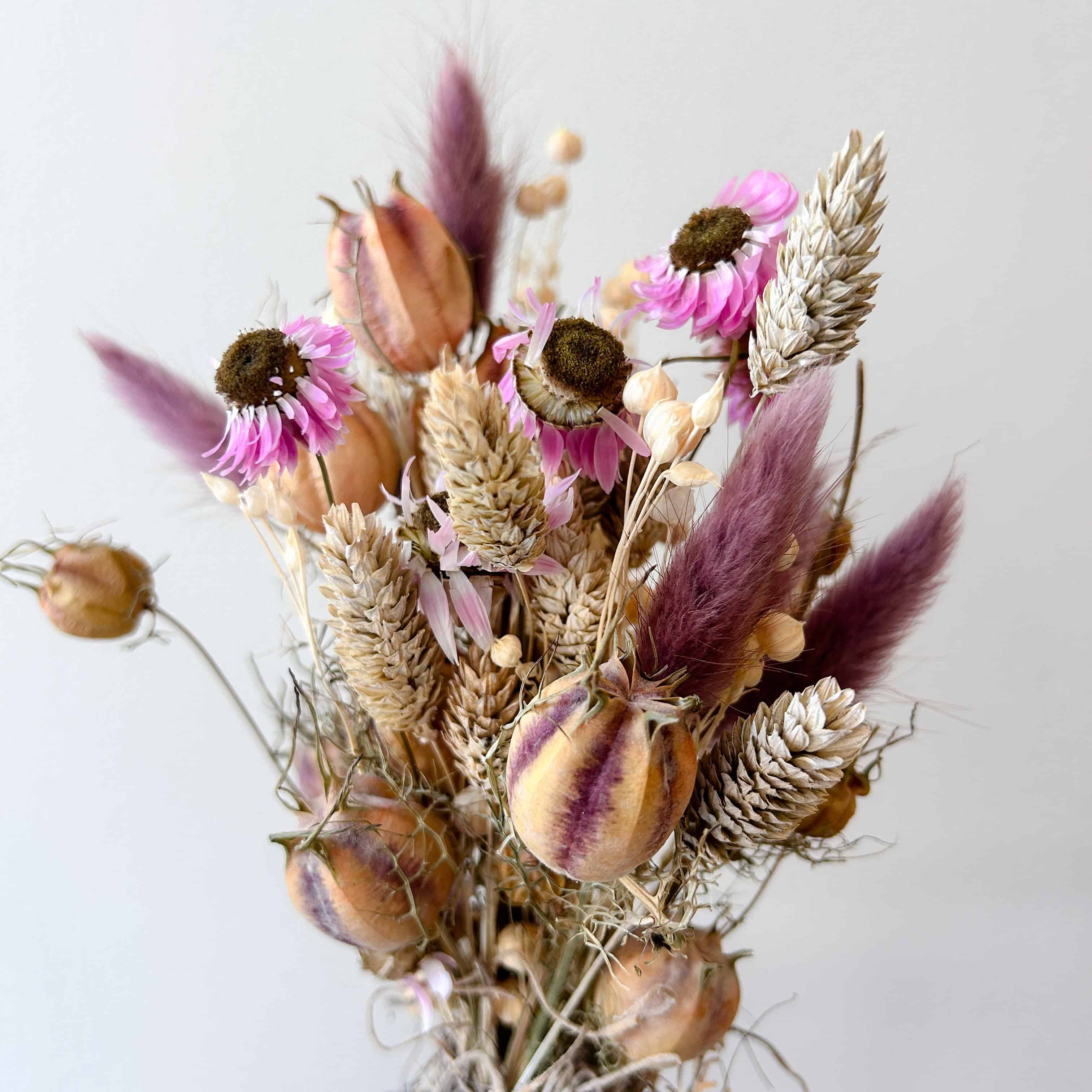 Mauve Harvest