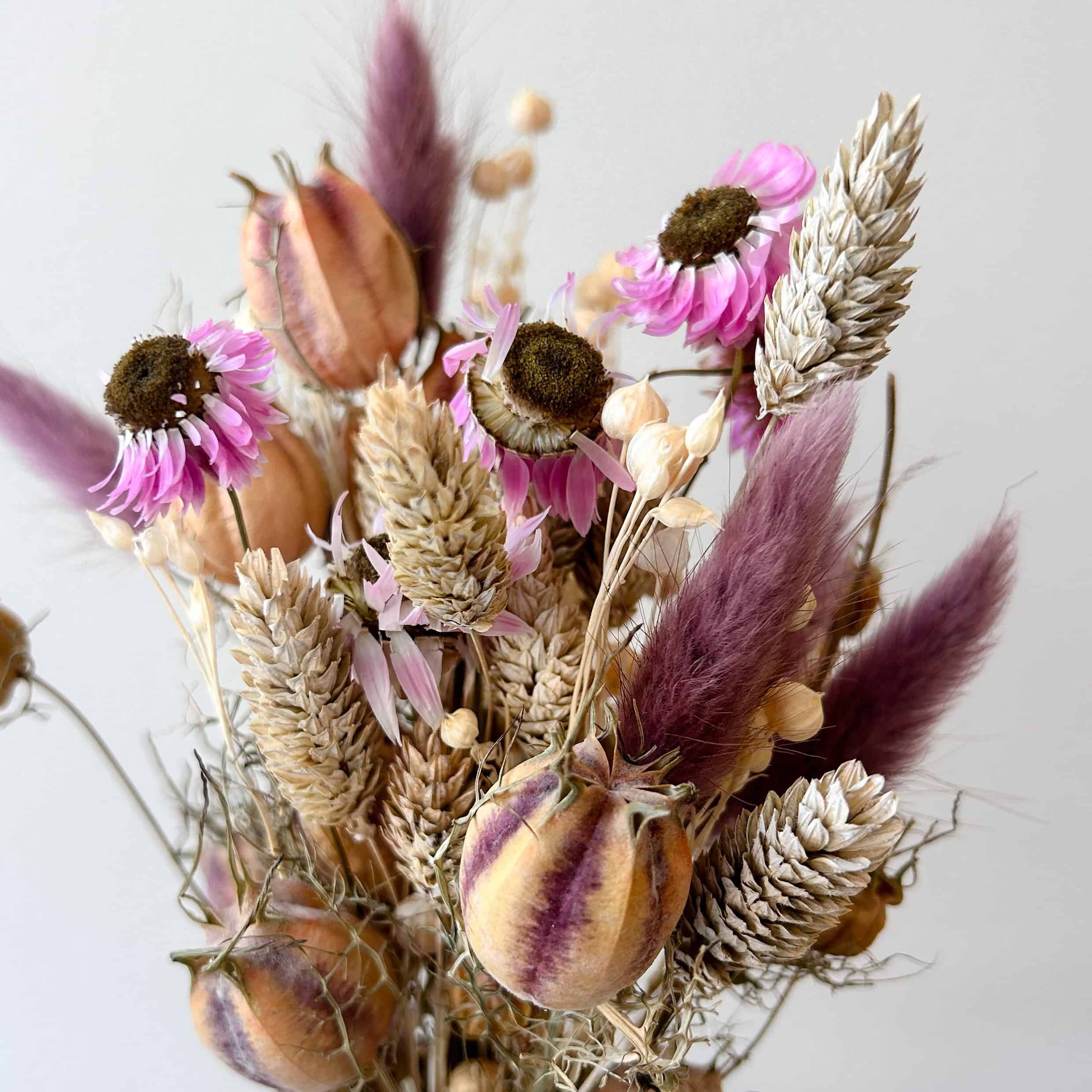 Mauve Harvest