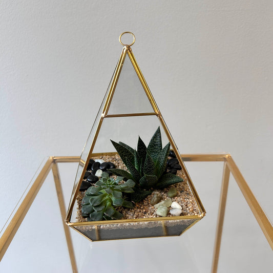 Succulent Pyramid