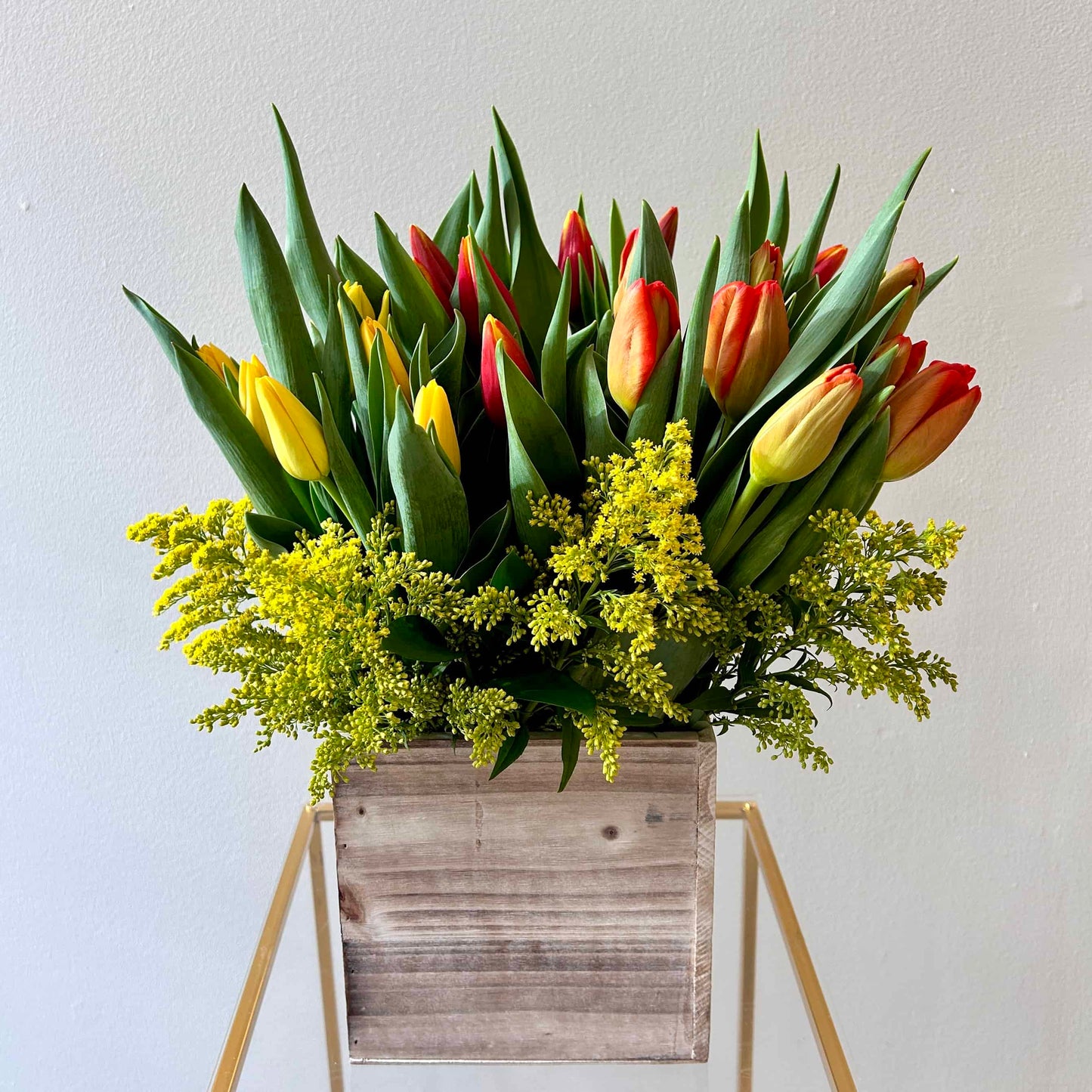 Golden Morning Tulip Mix - Red Tulips and Yellow Tulips