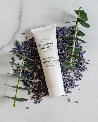 Eucalyptus Lavender Hand Lotion (Travel Size, 30ml)