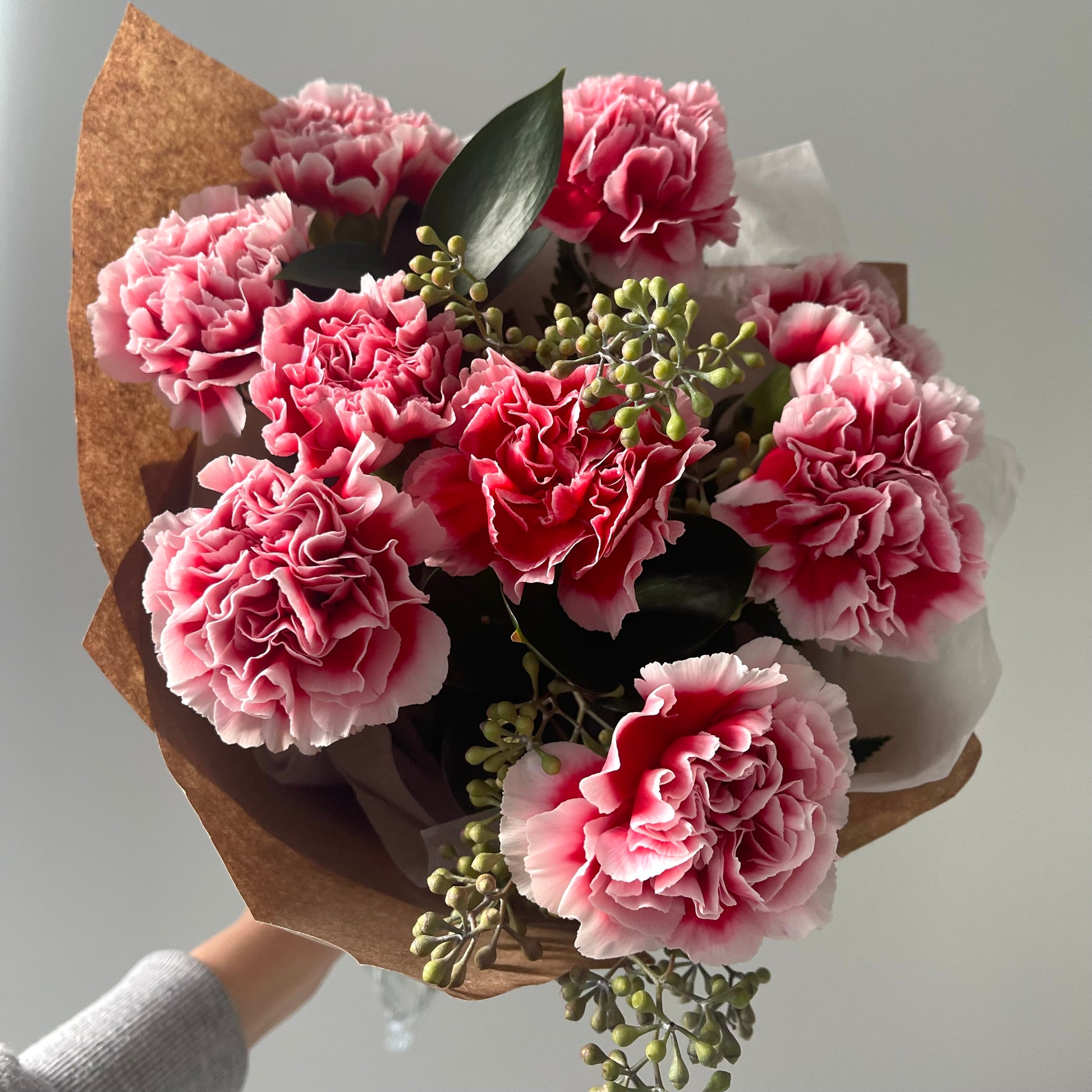 Beautiful carnations